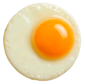 Oeuf